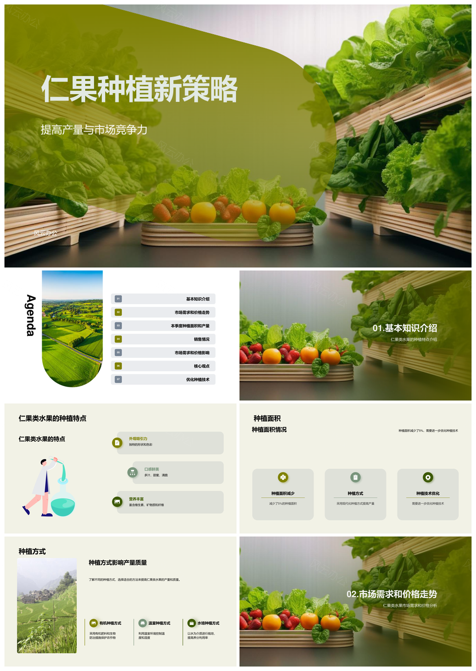 仁果类产销与种植方式总结PPT模板