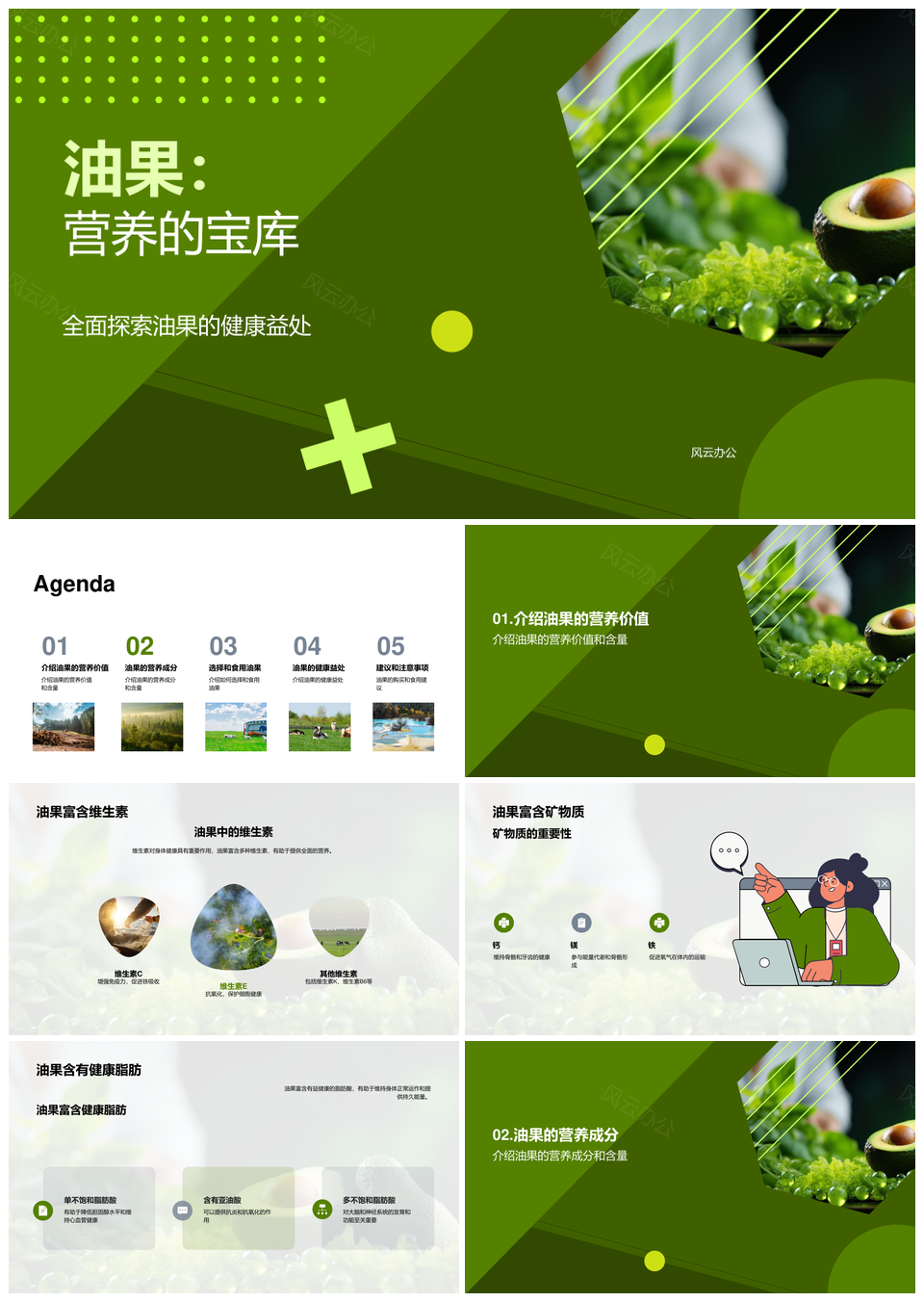 油果营养专家推荐健康鳄梨维生素矿物质PPT模板