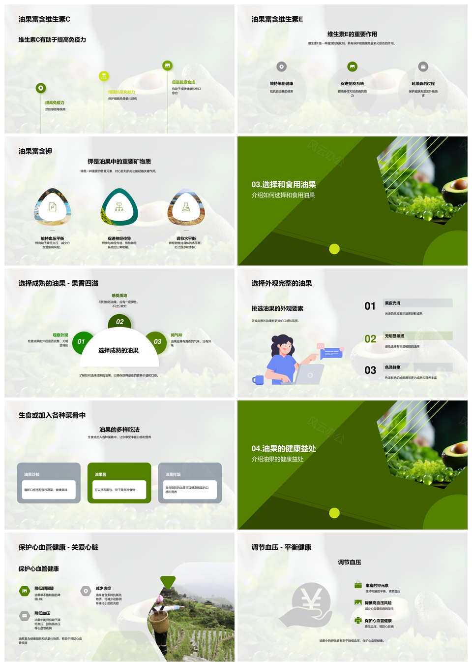 油果营养专家推荐健康鳄梨维生素矿物质PPT模板