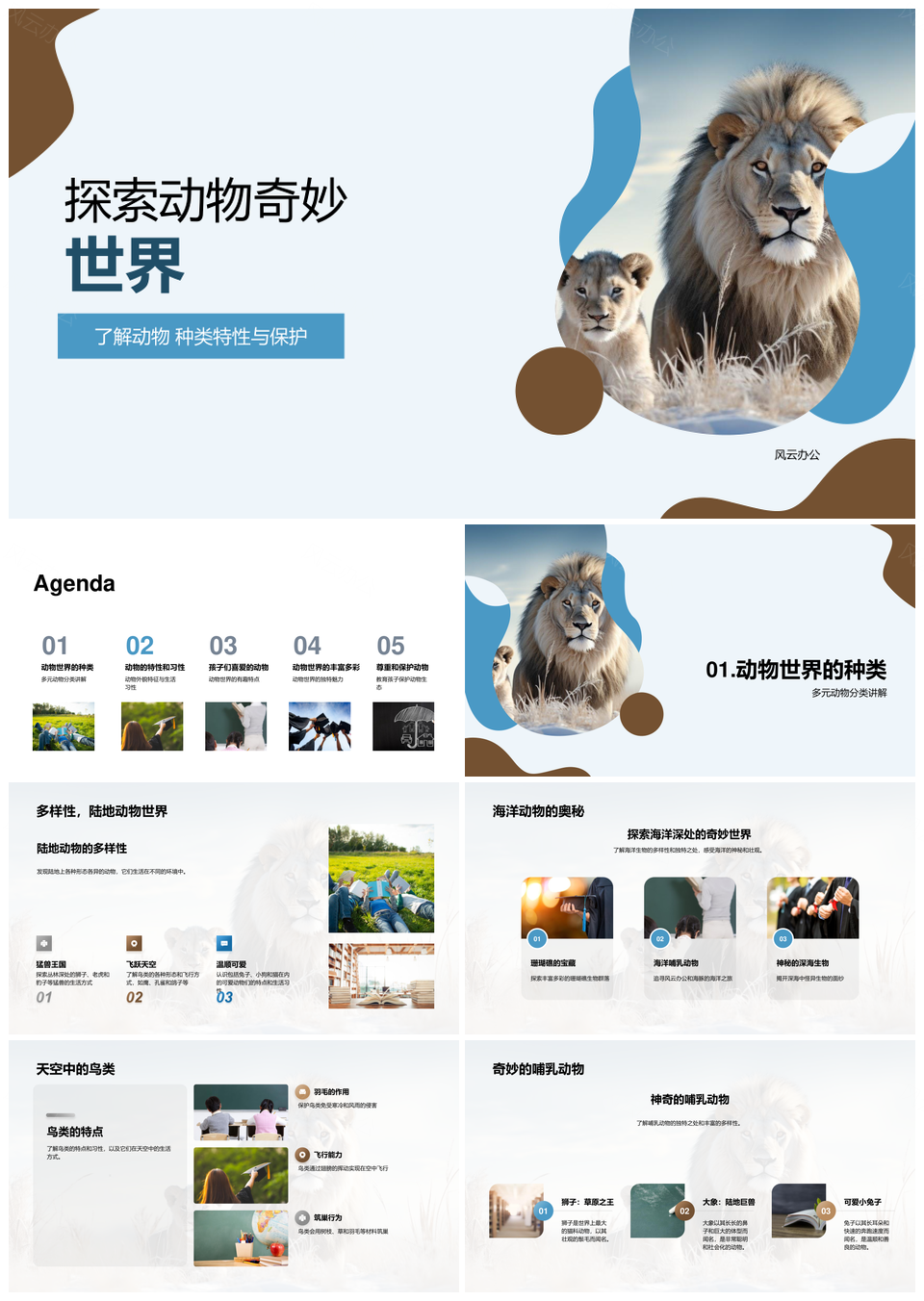 探索狮子大象兔子分类特征与生态保护PPT模板