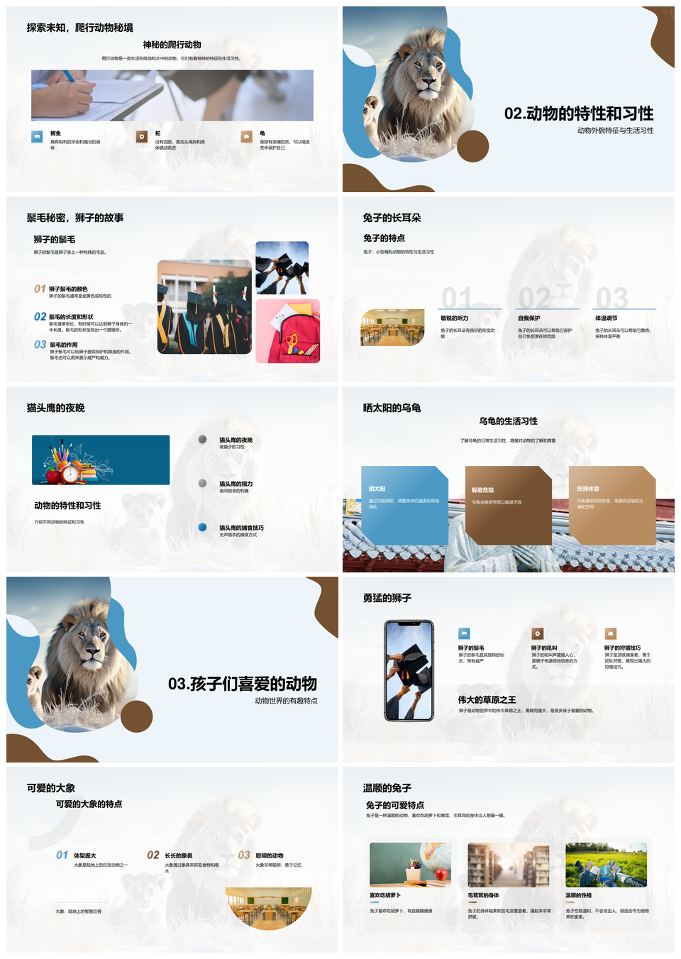 探索狮子大象兔子分类特征与生态保护PPT模板