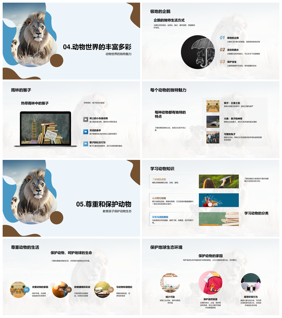 探索狮子大象兔子分类特征与生态保护PPT模板