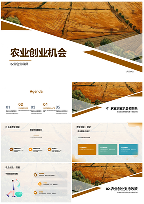 农业创业政策资金支持农民农林牧渔市场盈利PPT模板