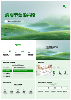清明节传统文化营销策略中老年特价商品需求PPT模板