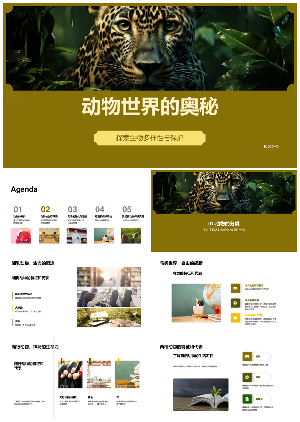 动物多样进化与丛林生态守护PPT模板