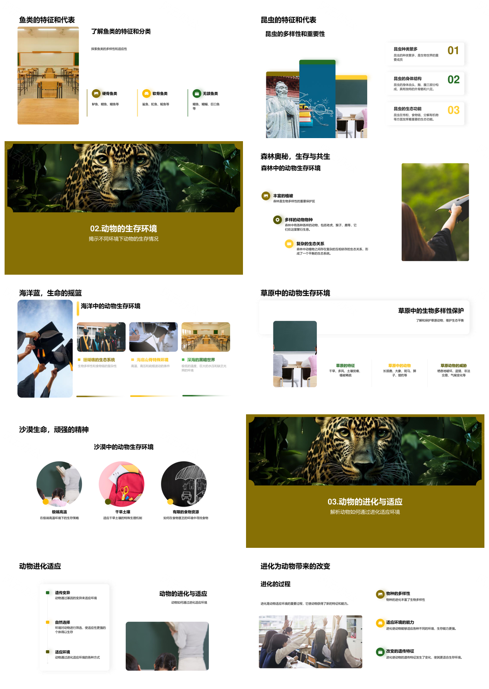 动物多样进化与丛林生态守护PPT模板