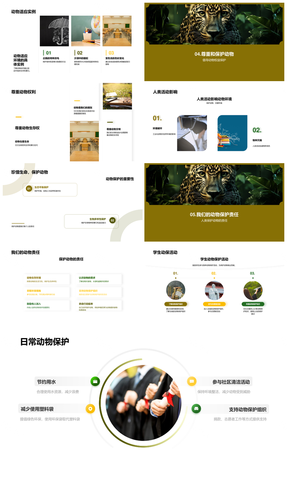 动物多样进化与丛林生态守护PPT模板