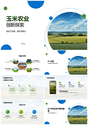玉米种植业年终数据技术波动分析PPT模板