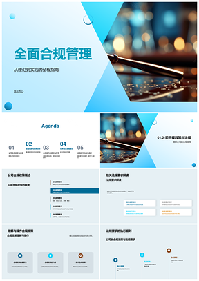 全面合规管理法规风险防控案例解析PPT模板