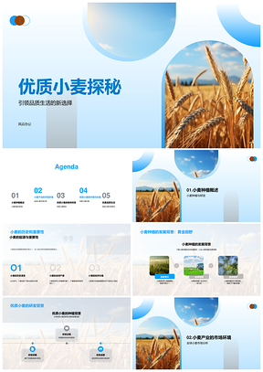 优质小麦种植市场趋势与品质解析PPT模板