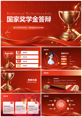 国家奖学金答辩思想学习实践素质成长历程PPT模板