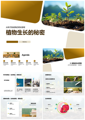 植物生长从种子到成熟的光合繁殖PPT模板