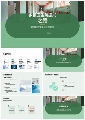 乡镇卫生院融资计划书财务设施服务引资PPT模板
