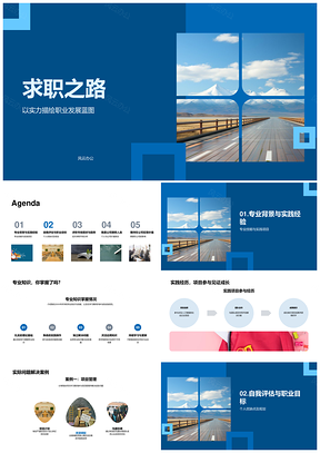 求职之路职业蓝图专业实践策略PPT模板