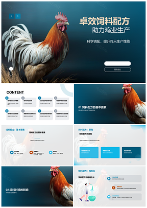 鸡饲料配方专家选择要素与生产性能PPT模板