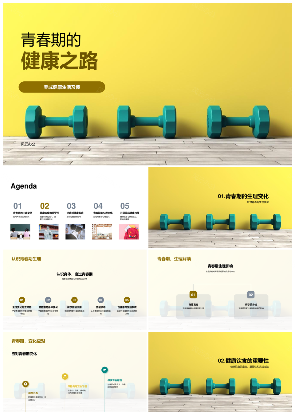 青春期健康习惯应对身心变化PPT模板