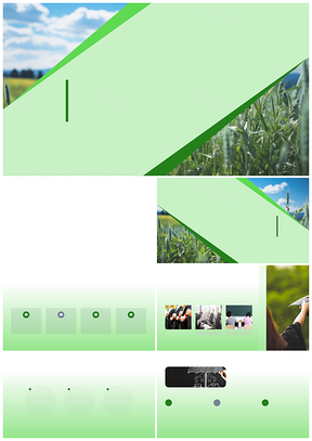 农学麦田项目答辩实践理论技术发展探索PPT模板