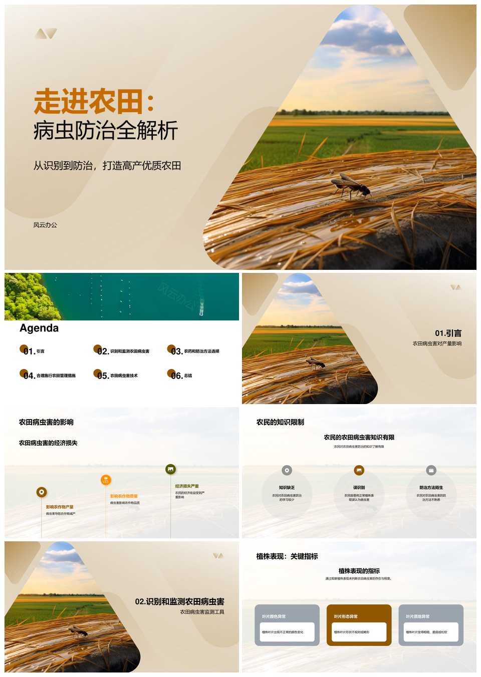 农业专家指导农民防治农田病虫增产提质PPT模板