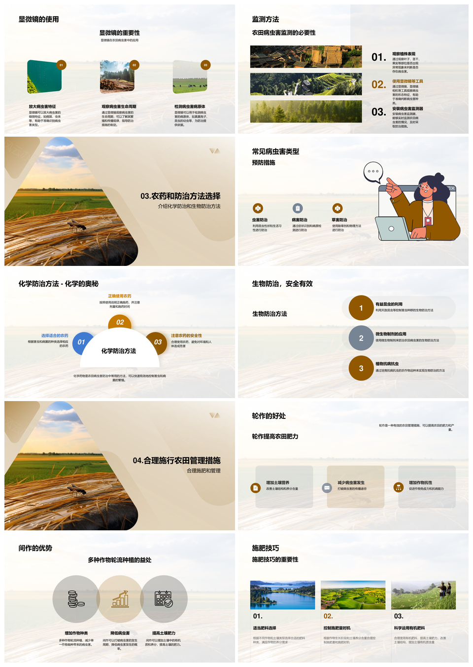 农业专家指导农民防治农田病虫增产提质PPT模板