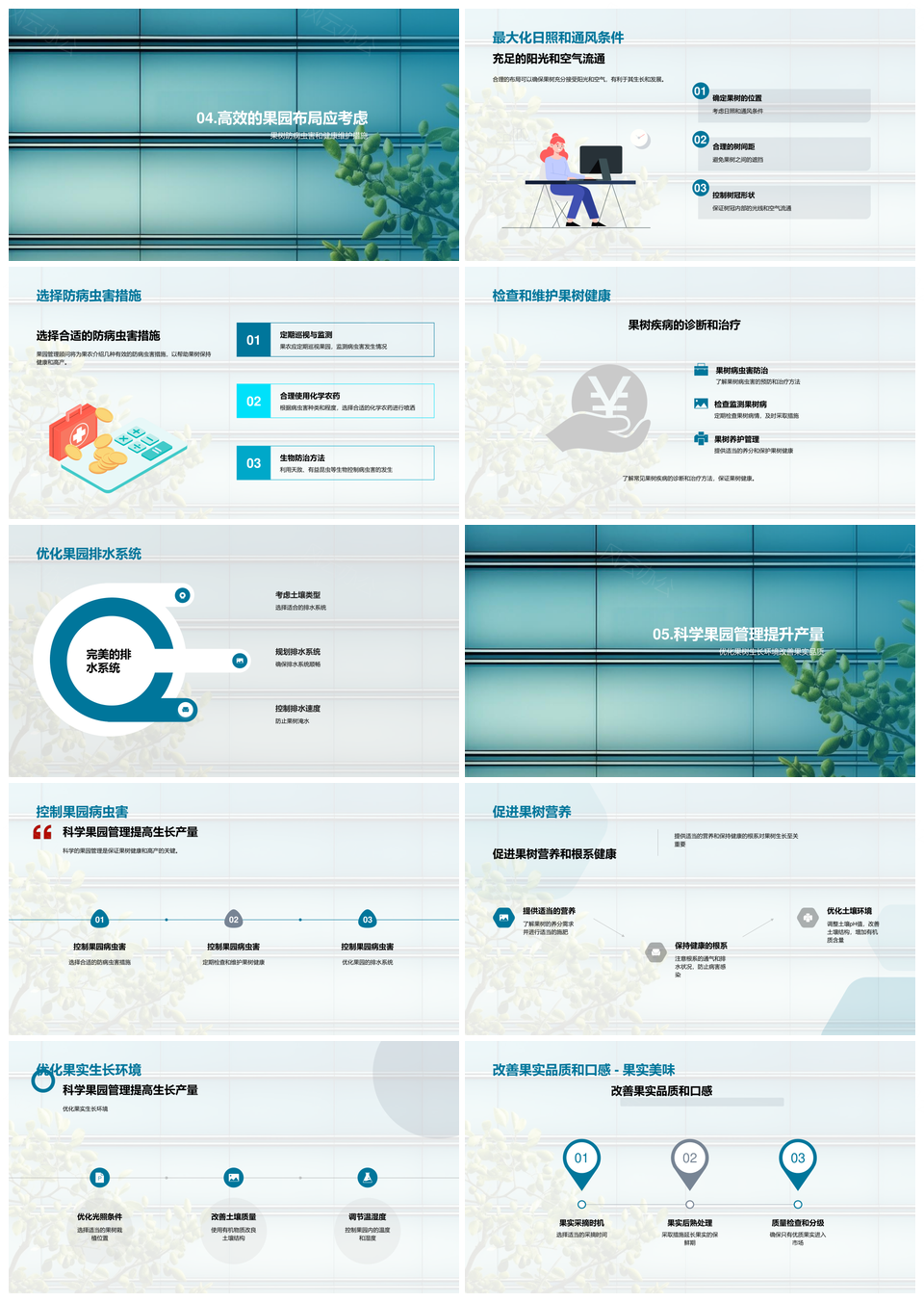 果园管理仁核果树增产选种土壤排水间距要点PPT模板