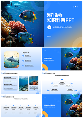 海洋生物特征与环境保护科普知识PPT模板