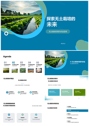 现代农业无土栽培科技产量资源环境影响PPT模板