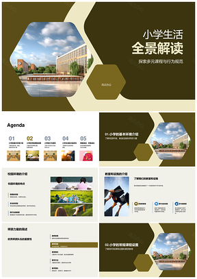 小学生活全景解读多元课程素质教育规范环境师资PPT模板
