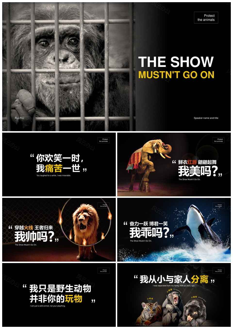 拒绝动物表演水族馆海豚大象死亡率牢笼保护报告PPT模板