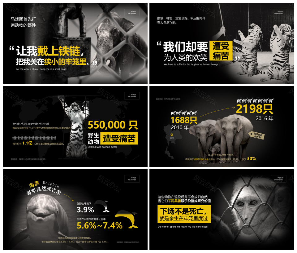 拒绝动物表演水族馆海豚大象死亡率牢笼保护报告PPT模板