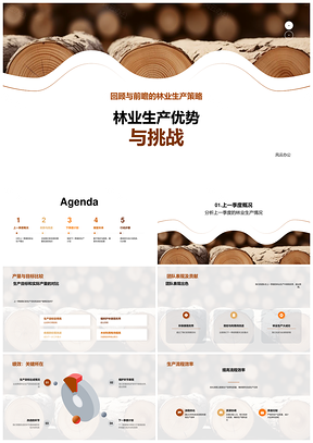 林业生产季度总结优势挑战团队改进防控利用PPT模板