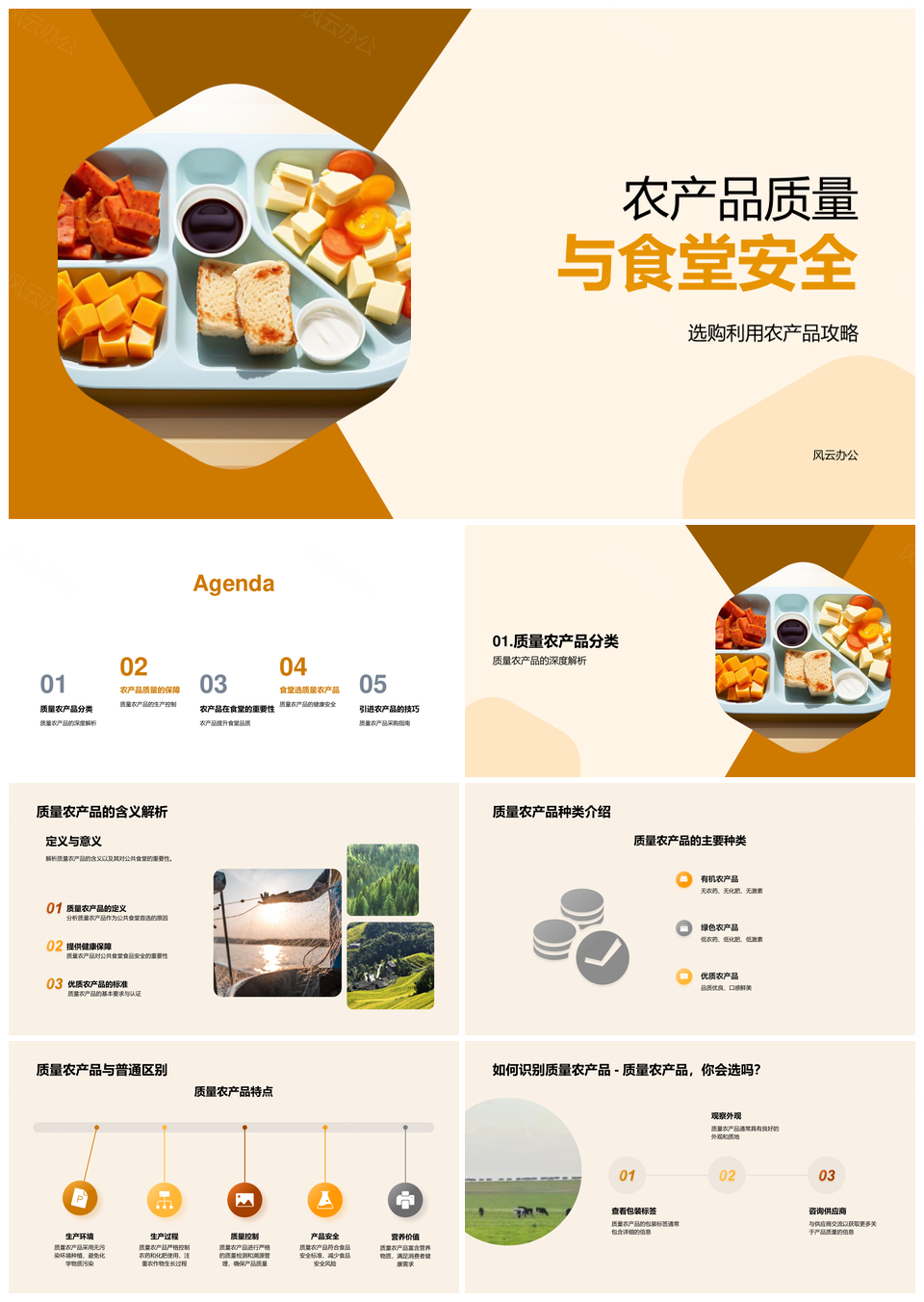 公共食堂食品安全与农产品质量控制PPT模板