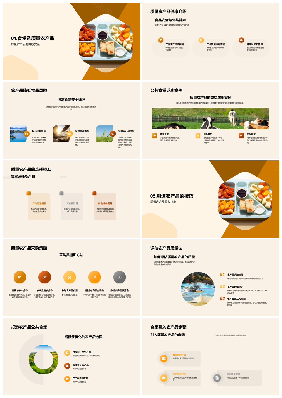 公共食堂食品安全与农产品质量控制PPT模板