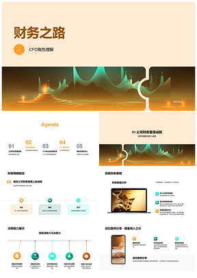 CFO董事会财务策略风控现金流数据图表之路PPT模板