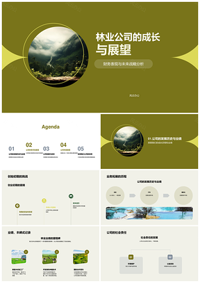 林业公司财务表现与未来战略分析PPT模板