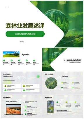 全球森林业市场发展与政策变化分析PPT模板