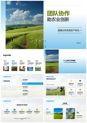 项目X团队协作数据优化农田生产创新PPT模板