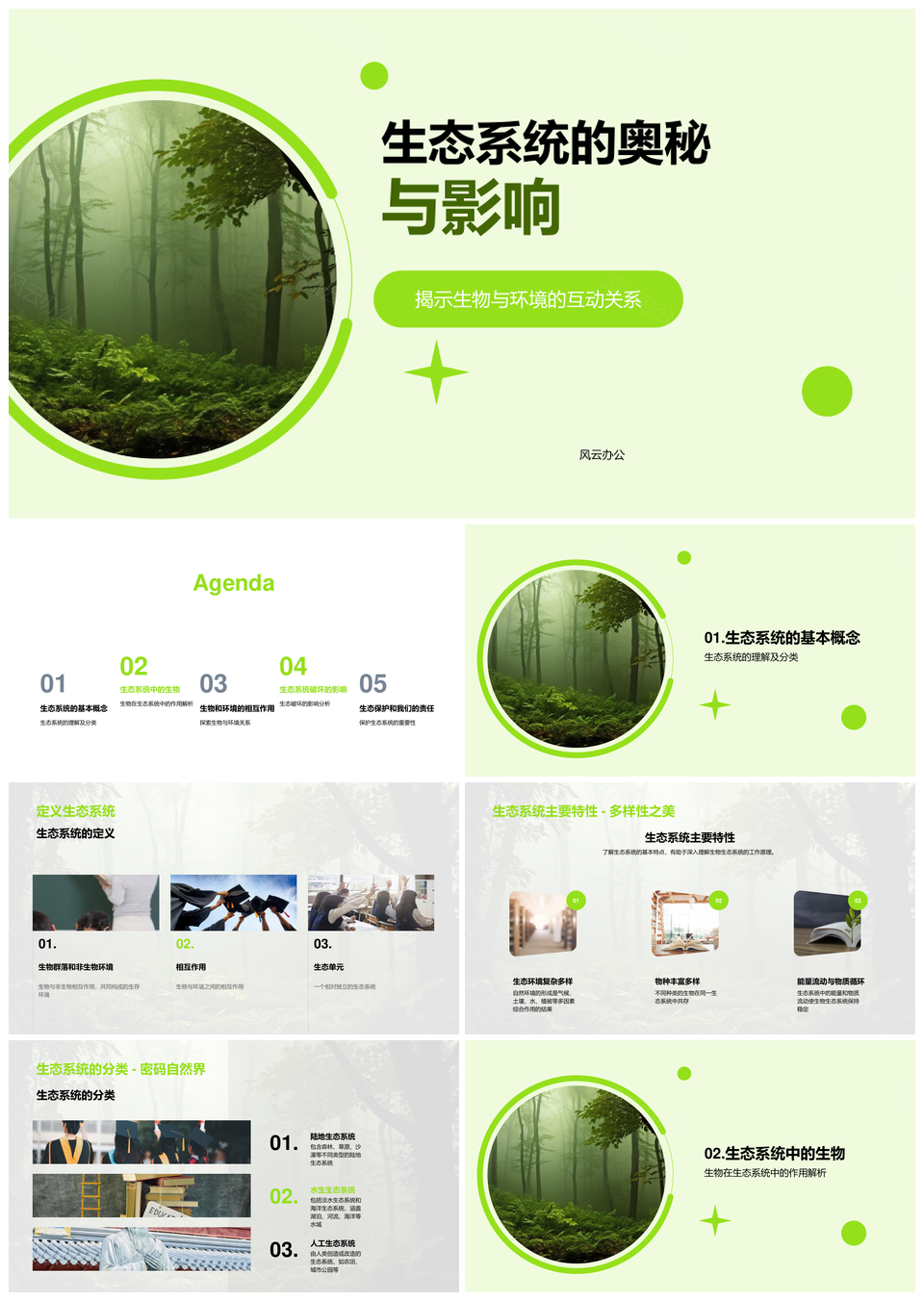 森林生态系统分类生态位食物链破坏与保护PPT模板