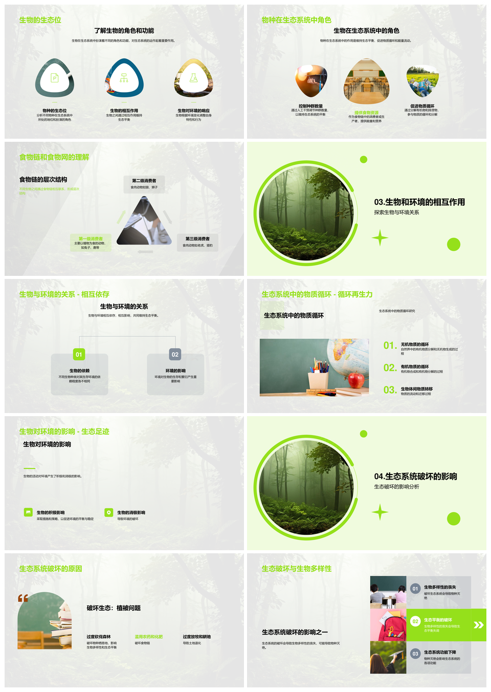 森林生态系统分类生态位食物链破坏与保护PPT模板