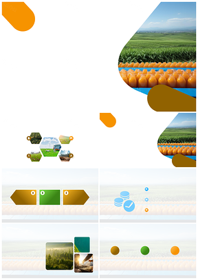 农产品营养健康专家解析田间到餐桌PPT模板