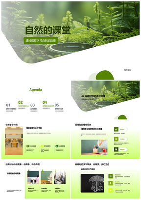 谷雨森林课堂探自然生长韵律PPT模板