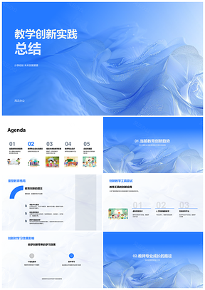全球教育创新实践与教师专业发展总结PPT模板