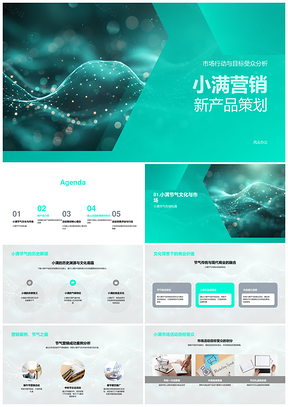 小满节气新产品营销策划竞品案例分析PPT模板