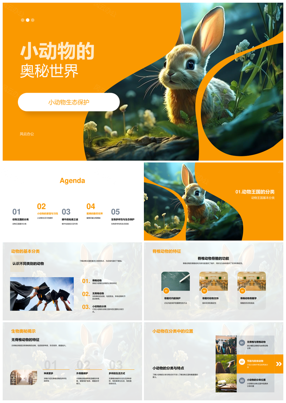小动物脊椎无脊椎生态食性蜗牛蜜蜂奥秘PPT模板