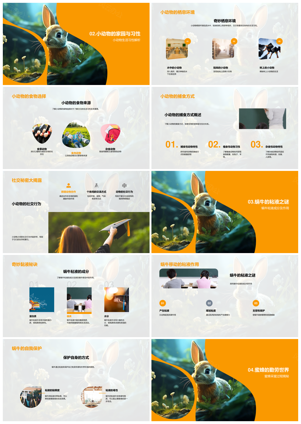 小动物脊椎无脊椎生态食性蜗牛蜜蜂奥秘PPT模板