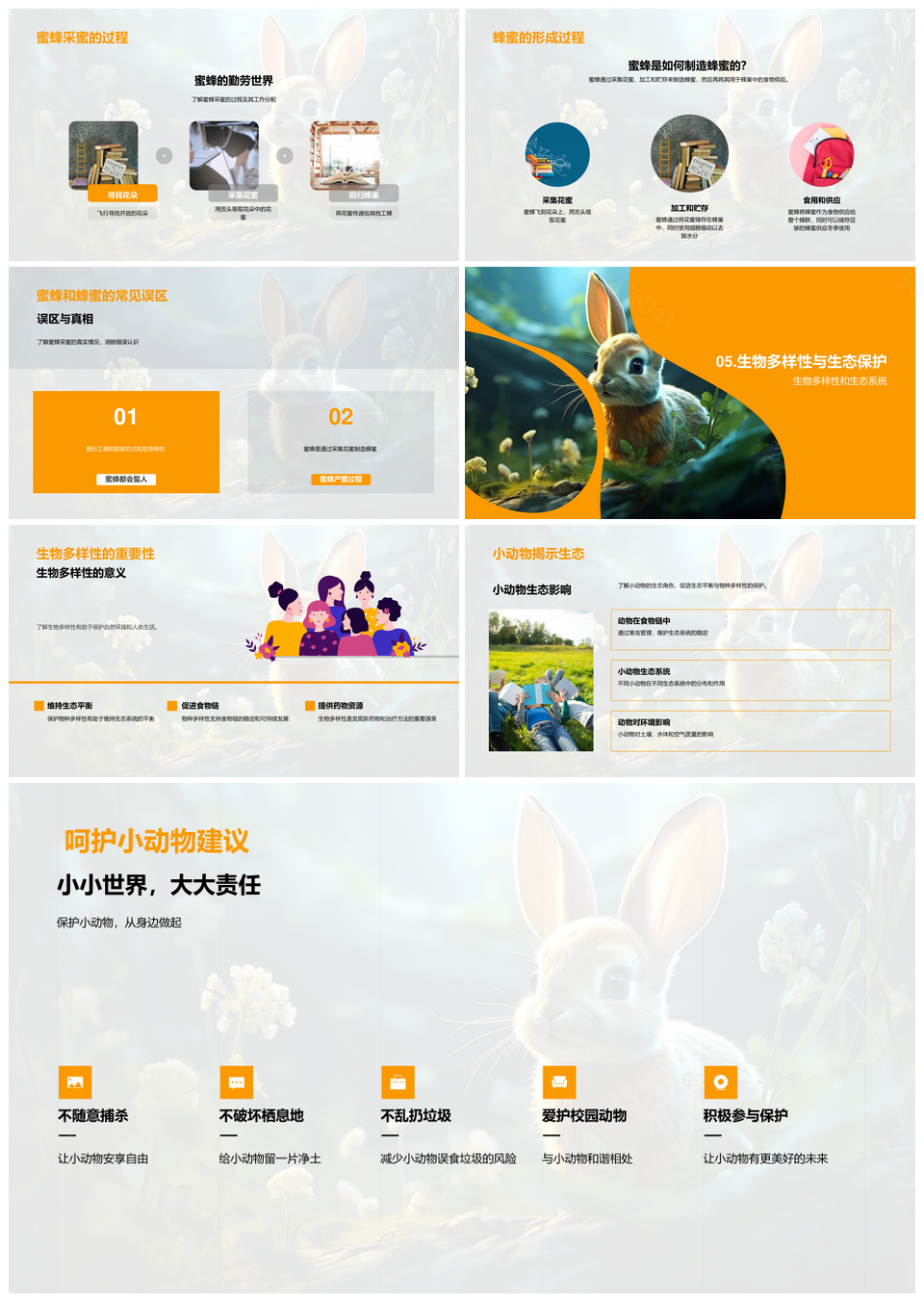 小动物脊椎无脊椎生态食性蜗牛蜜蜂奥秘PPT模板