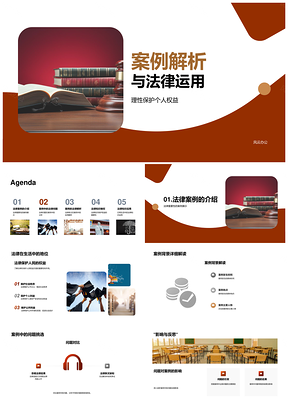 案例解析法律运用理性护权益PPT模板