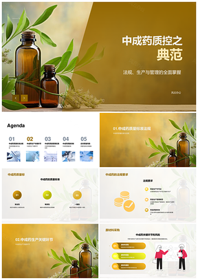 中成药质量管理法规关键环节风险控制PPT模板