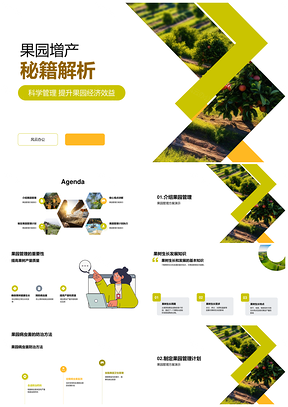 农场主果园管理方案仁果核果增产秘籍PPT模板
