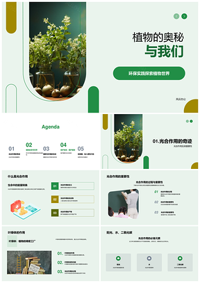 植物光合作用与环保生态探秘PPT模板