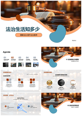 法治素养守权益尊法护正义显原则PPT模板